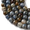 Natural Kyanite Beads Strands G-H361-A01-10mm-4