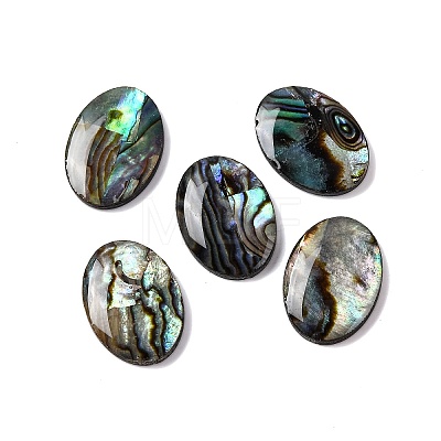 Natural Paua Shell Epoxy Resin Cabochons SSHEL-S279-01B-1