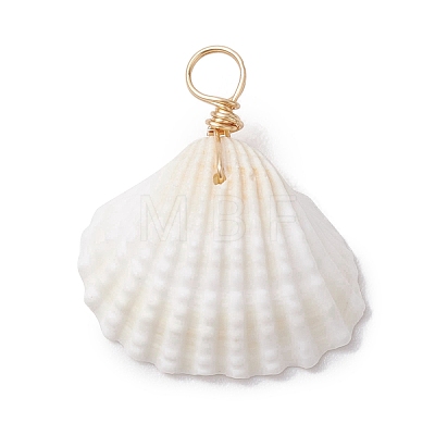 Natural Ark Shell Pendants PALLOY-JF02679-01-1