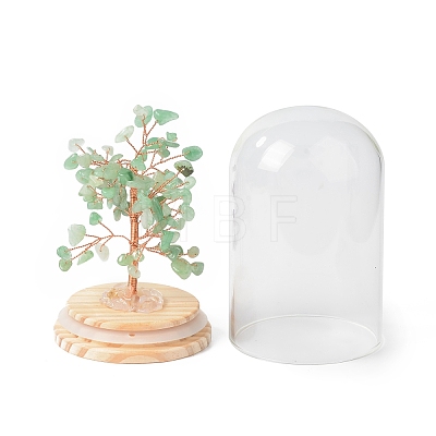 Natural Green Aventurine Chips Money Tree in Dome Glass Bell Jars with Wood Base Display Decorations DJEW-B007-04A-1