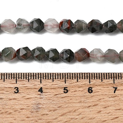 Natural African Bloodstone Beads Strands G-Z119-A28-01-1