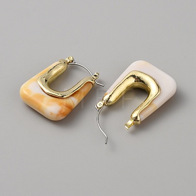 Acrylic Rectangle Hoop Earrings EJEW-WH0012-039D-1
