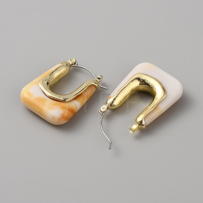 Acrylic Rectangle Hoop Earrings EJEW-WH0012-039D-1