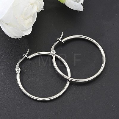 Tarnish Resistant 304 Stainless Steel Hoop Earrings EJEW-F105-09P-1