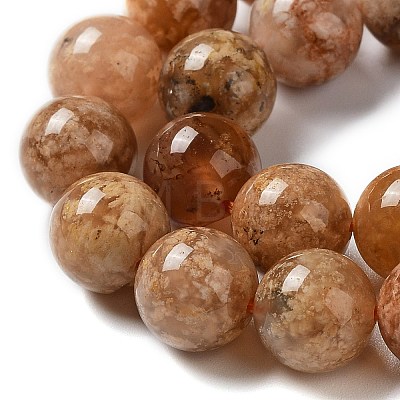 Natural Flower Agate Beads Strands G-B044-A01-02-1