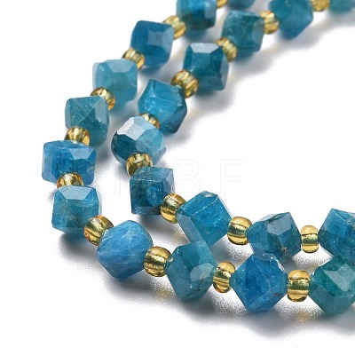Natural Apatite Beads Strands G-P463-29-1