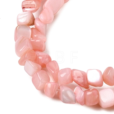 Natural Freshwater Shell Beads Strands SHEL-A006-07-1