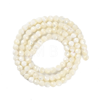 Shell Beads Strands SSHEL-E571-38-4mm-1