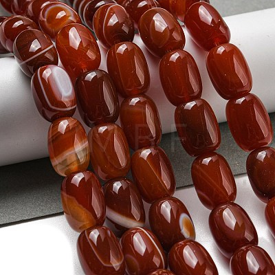 Natural Banded Agate/Striped Agate Beads Strands G-A223-D12-01C-1