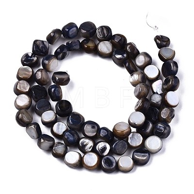 Natural Freshwater Shell Beads Strands SHEL-S276-110A-01-1
