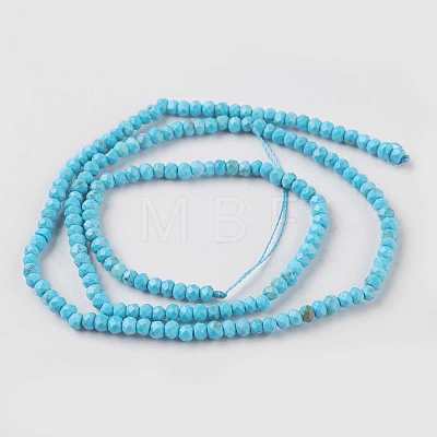 Natural Howlite Beads Strands TURQ-K004-06A-1