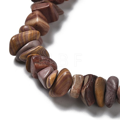Natural Petrified Wood Beads Strands G-M205-89-1