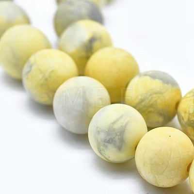 Natural Howlite Bead Strands G-I224-04B-8mm-1