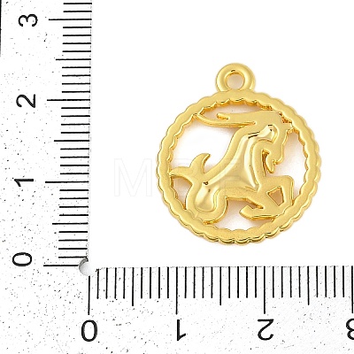 Twelve Constellations Alloy Pendants PALLOY-Q006-01C-G-1