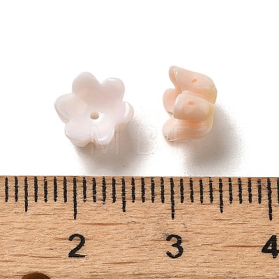 Seashell Beads SSHEL-H071-07A-1