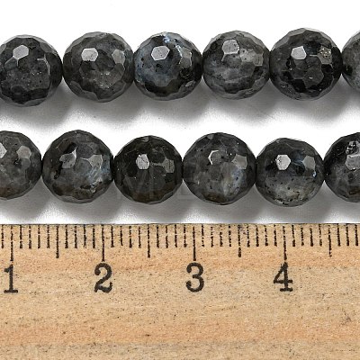 Natural Larvikite Beads Strands G-E571-A09-02-1