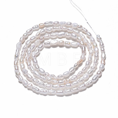 Natural Cultured Freshwater Pearl Beads Strands PEAR-N012-02H-1