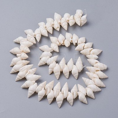 Natural Spiral Shell Beads Strands X-BSHE-I016-07-1