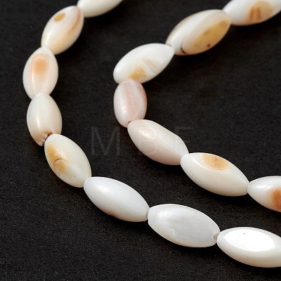 Natural Freshwater Shell Dyed Beads Strands SHEL-M018-13-13-1