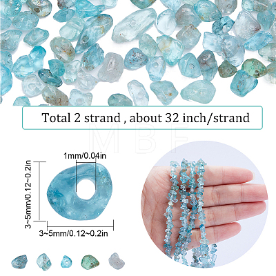 2 Strands Natural Apatite Chip Beads Strands G-SC0002-52-1