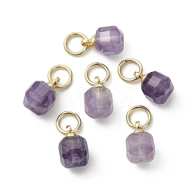 Natural Amethyst Pendants PALLOY-JF05300-02-1