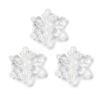 Transparent Acrylic Beads TACR-U008-01B-1