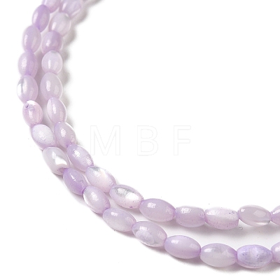 Natural Trochus Shell Beads Strands X-SHEL-K006-19B-1