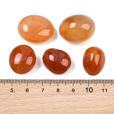 Natural Carnelian Beads GG-CBAD0F6-A02-01-1