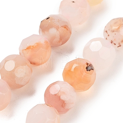 Natural Cherry Blossom Agate Beads Strands G-C150-B04-02-1