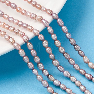 Natural Cultured Freshwater Pearl Beads Strands PEAR-I007-01L-02-1