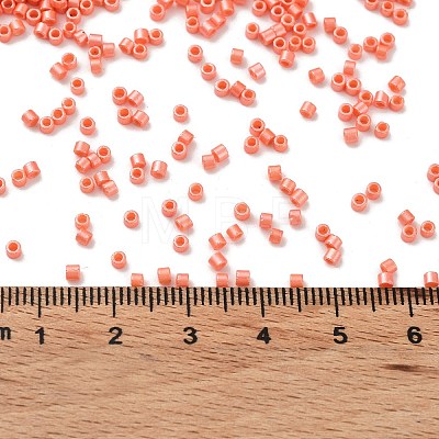 Baking Paint Glass Seed Beads SEED-S042-15B-29-1