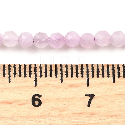 Natural Kunzite Beads Strands G-G259-D11-3mm-1