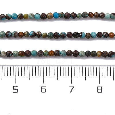 Natural Turquoise Beads Strands G-G195-A01-01-1