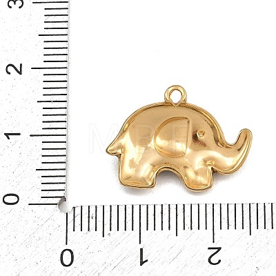 304 Stainless Steel Pendants SA-CBA4809-21G-02-1