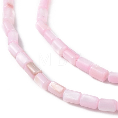 Natural Freshwater Shell Dyed Beads Strands SHEL-M018-12-09-1