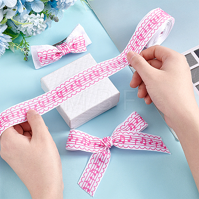 Polyester Printed Ribbons OCOR-WH0080-15B-1
