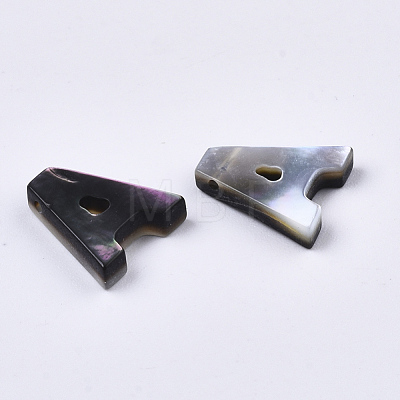 Natural Black Lip Shell Beads SSHEL-S265-001-M-1
