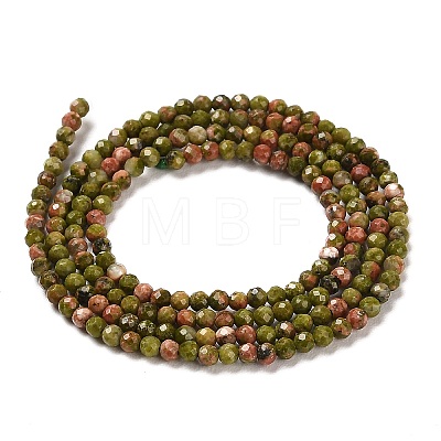 Natural Unakite Beads Strands G-Q002-B01-01-1