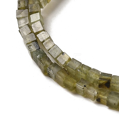 Natural Labradorite Beads Strands G-B064-A32-1