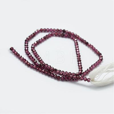 Natural Garnet Bead Strands G-P271-3mm-08-1