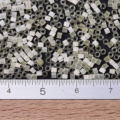 MIYUKI Delica Beads SEED-J020-DB0823-1