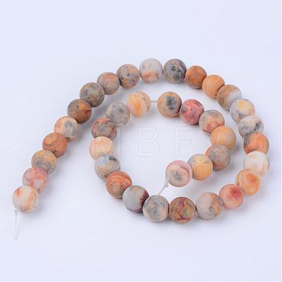 Natural Crazy Agate Beads Strands G-Q462-10mm-12-1