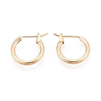 304 Stainless Steel Hoop Earrings EJEW-T048-25A-G-1