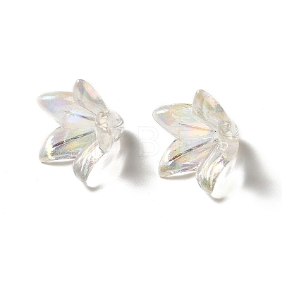 Transparent Acrylic Bead Caps LS-X-OACR-H016-05A-1