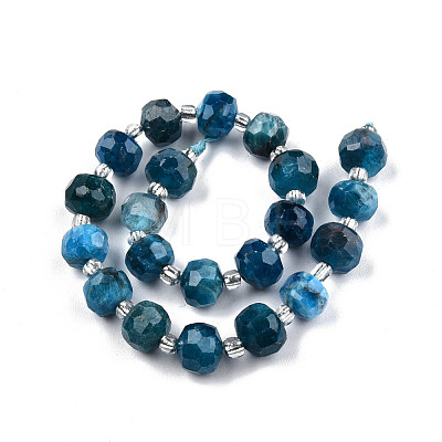 Natural Apatite Beads Strands G-N327-08D-1