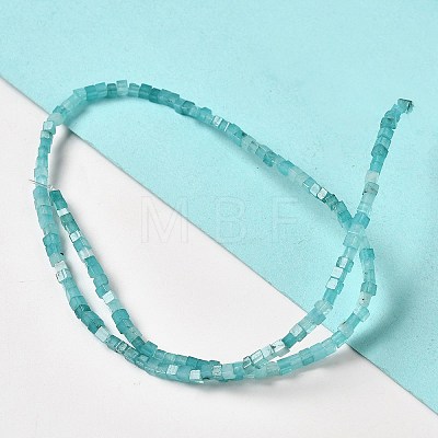 Natural Amazonite Beads Strands G-B064-A05-1