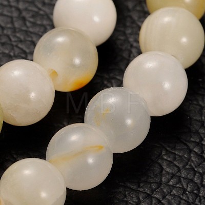 Natural Gemstone Beads Strands GSR008-1
