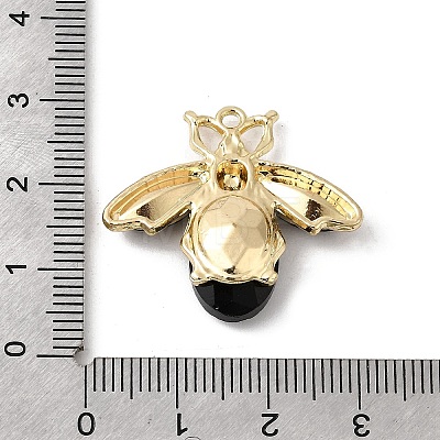 Alloy Rhinestone Pendants FIND-H055-12G-1