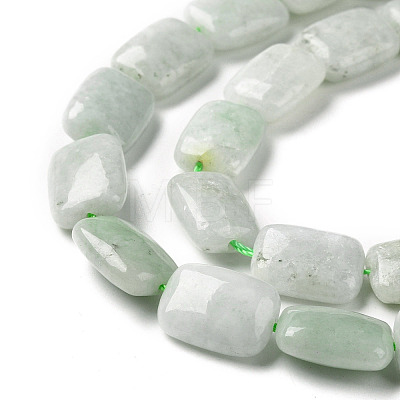 Natural Myanmar Jade/Burmese Jade Beads Strands G-C238-13-1