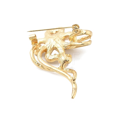 Alloy Brooches JEWB-H029-01D-G-1